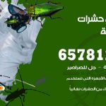 شركات مكافحة حشرات أبوحليفة / 50050641 / افضل شركة مكافحة حشرات وقوارض