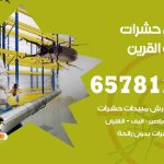 شركات مكافحة حشرات أسواق القرين / 50050641 / افضل شركة مكافحة حشرات وقوارض