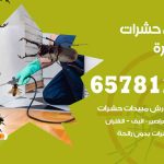 شركات مكافحة حشرات ابوفطيرة / 50050641 / افضل شركة مكافحة حشرات وقوارض