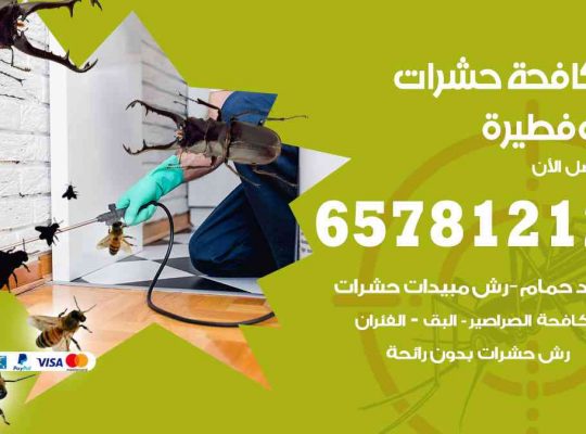 شركات مكافحة حشرات ابوفطيرة