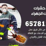 شركات مكافحة حشرات  اسطبلات الجهراء / 50050641 / افضل شركة مكافحة حشرات وقوارض