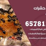 شركات مكافحة حشرات الدسمة / 50050641 / افضل شركة مكافحة حشرات وقوارض