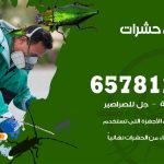 شركات مكافحة حشرات الرقة / 50050641 / افضل شركة مكافحة حشرات وقوارض