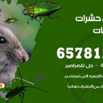 شركات مكافحة حشرات الشاليهات / 50050641 / افضل شركة مكافحة حشرات وقوارض