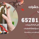 شركات مكافحة حشرات الصديق / 50050641 / افضل شركة مكافحة حشرات وقوارض