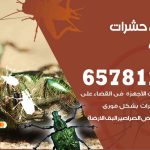 شركات مكافحة حشرات الصليبية / 50050641 / افضل شركة مكافحة حشرات وقوارض