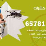 شركات مكافحة حشرات العدان / 50050641 / افضل شركة مكافحة حشرات وقوارض