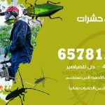 شركات مكافحة حشرات العقيلة / 50050641 / افضل شركة مكافحة حشرات وقوارض