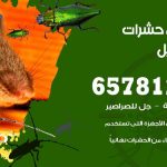 شركات مكافحة حشرات الفحيحيل / 50050641 / افضل شركة مكافحة حشرات وقوارض