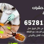 شركات مكافحة حشرات المنطقة الرابعة / 50050641 / افضل شركة مكافحة حشرات وقوارض