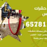 شركات مكافحة حشرات الفنيطيس / 50050641 / افضل شركة مكافحة حشرات وقوارض