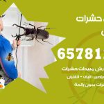 شركات مكافحة حشرات المسايل / 50050641 / افضل شركة مكافحة حشرات وقوارض