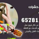 شركات مكافحة حشرات المطلاع / 50050641 / افضل شركة مكافحة حشرات وقوارض