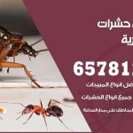 شركات مكافحة حشرات المنصورية / 50050641 / افضل شركة مكافحة حشرات وقوارض