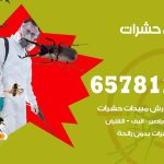 شركات مكافحة حشرات المنقف / 50050641 / افضل شركة مكافحة حشرات وقوارض