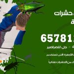 شركات مكافحة حشرات المهبولة / 50050641 / افضل شركة مكافحة حشرات وقوارض