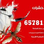 شركات مكافحة حشرات النسيم / 50050641 / افضل شركة مكافحة حشرات وقوارض