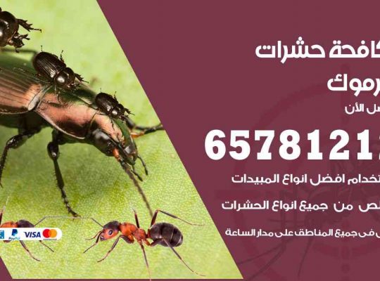 شركات مكافحة حشرات اليرموك