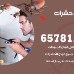 شركات مكافحة حشرات حطين / 50050641 / افضل شركة مكافحة حشرات وقوارض