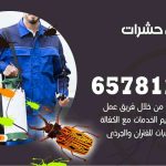 شركات مكافحة حشرات خيطان / 50050641 / افضل شركة مكافحة حشرات وقوارض