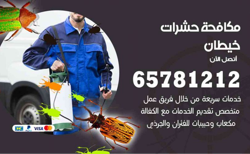 شركات مكافحة حشرات خيطان