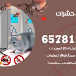 شركات مكافحة حشرات سلوى / 50050641 / افضل شركة مكافحة حشرات وقوارض