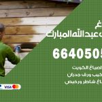 صباغ في غرب عبدالله مبارك / 66405052 / معلم صباغ منازل تركيب ورق جدران