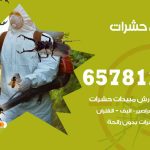 شركات مكافحة حشرات صبحان / 50050641 / افضل شركة مكافحة حشرات وقوارض