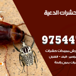 مكافحة حشرات وقوارض الدعية / 50050647 / شركة رش حشرات خصم 50%