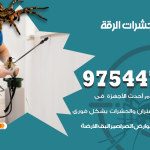 مكافحة حشرات وقوارض الرقة / 50050647 / شركة رش حشرات خصم 50%