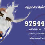 مكافحة حشرات وقوارض الصليبية / 50050647 / شركة رش حشرات خصم 50%