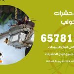 شركات مكافحة حشرات ميدان حولي / 50050641 / افضل شركة مكافحة حشرات وقوارض