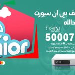 رقم هاتف بي ان سبورت ميناء عبدالله / 50007011 / أرقام تلفون bein sport